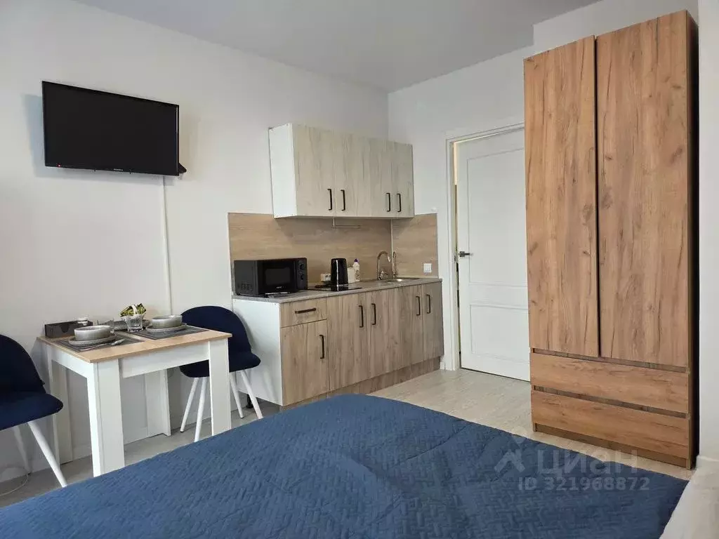 Студия Санкт-Петербург пос. Шушары, просп. Старорусский, 5к2 (22.0 м) - Фото 1