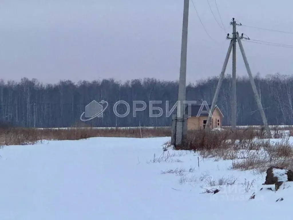 Участок в Тюменская область, Тюменский район, с. Горьковка Сибирская ... - Фото 0