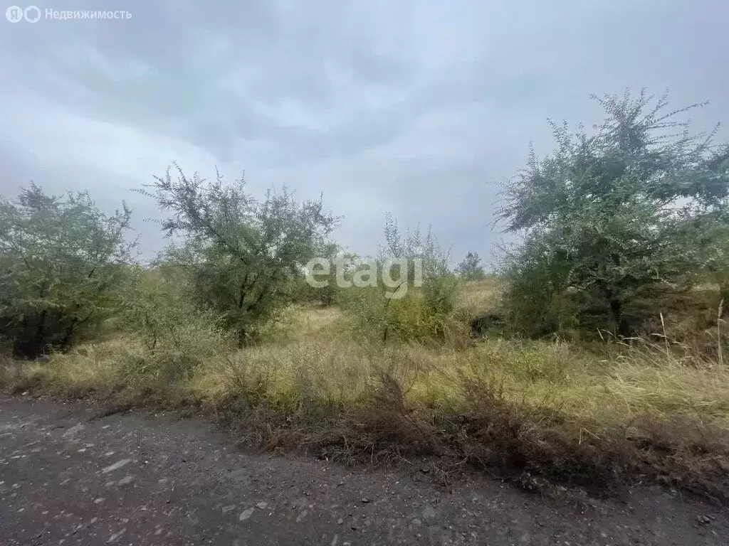 Участок в Черногорск, садоводческое некоммерческое товарищество район ... - Фото 1