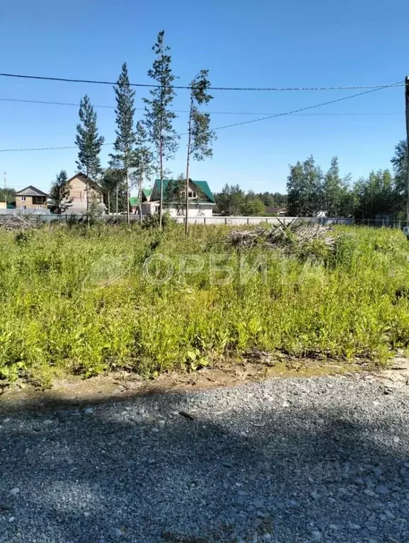 Участок в Тюменская область, Тюмень Большое Царево-1 ТСН,  (5.0 сот.) - Фото 1