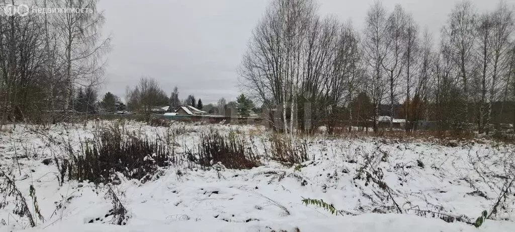 Участок в Дмитровский городской округ, коттеджный посёлок Тихая ... - Фото 1