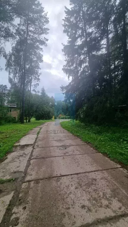 Участок в Московская область, Чехов городской округ, Баранцевский тер. ... - Фото 1