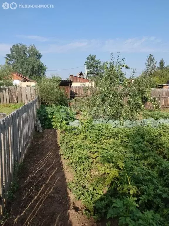 Участок в село Подсинее, Садовая улица (6.4 м) - Фото 1