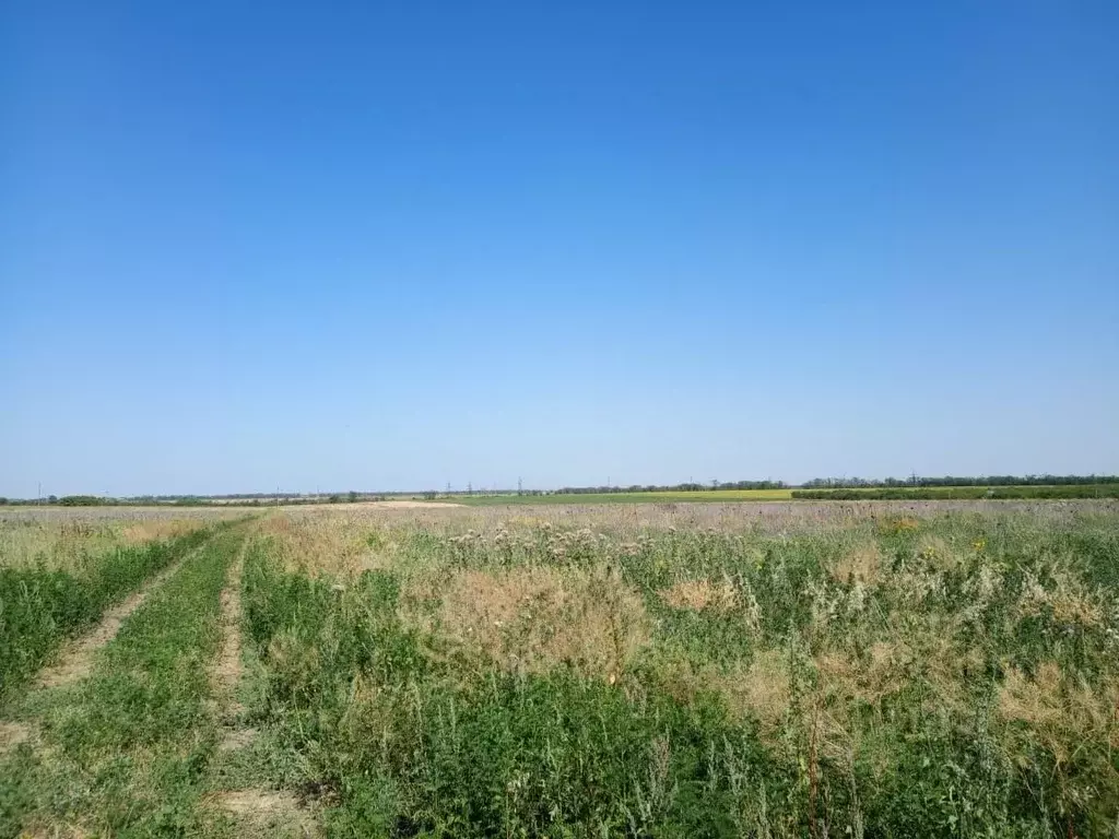 Участок в Краснодарский край, Ейск Красная Звезда СНТ, 21 (6.46 сот.) - Фото 1