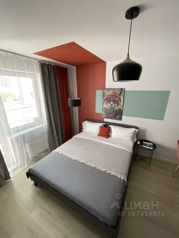1-к кв. Красноярский край, Красноярск наб. Ярыгинская, 9 (28.0 м) - Фото 1