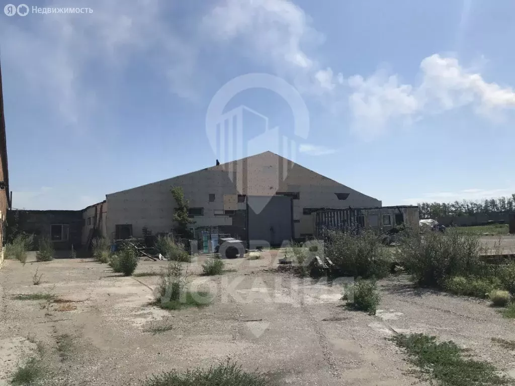 Помещение свободного назначения (800 м) - Фото 0