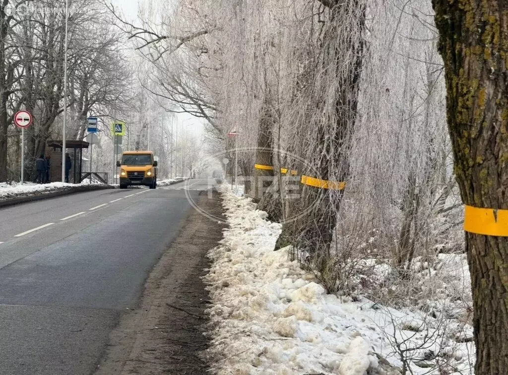 Участок в Калининградская область, Гурьевский муниципальный округ, ... - Фото 2