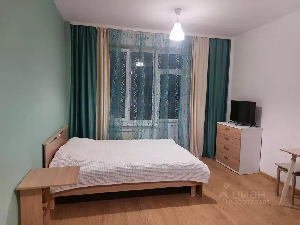 Студия Псковская область, Псковский район, Завеличенская волость, д. ... - Фото 1