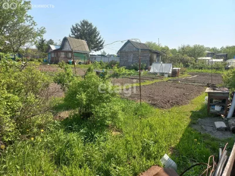 Дом в Хабаровский район, садоводческое некоммерческое товарищество ... - Фото 1