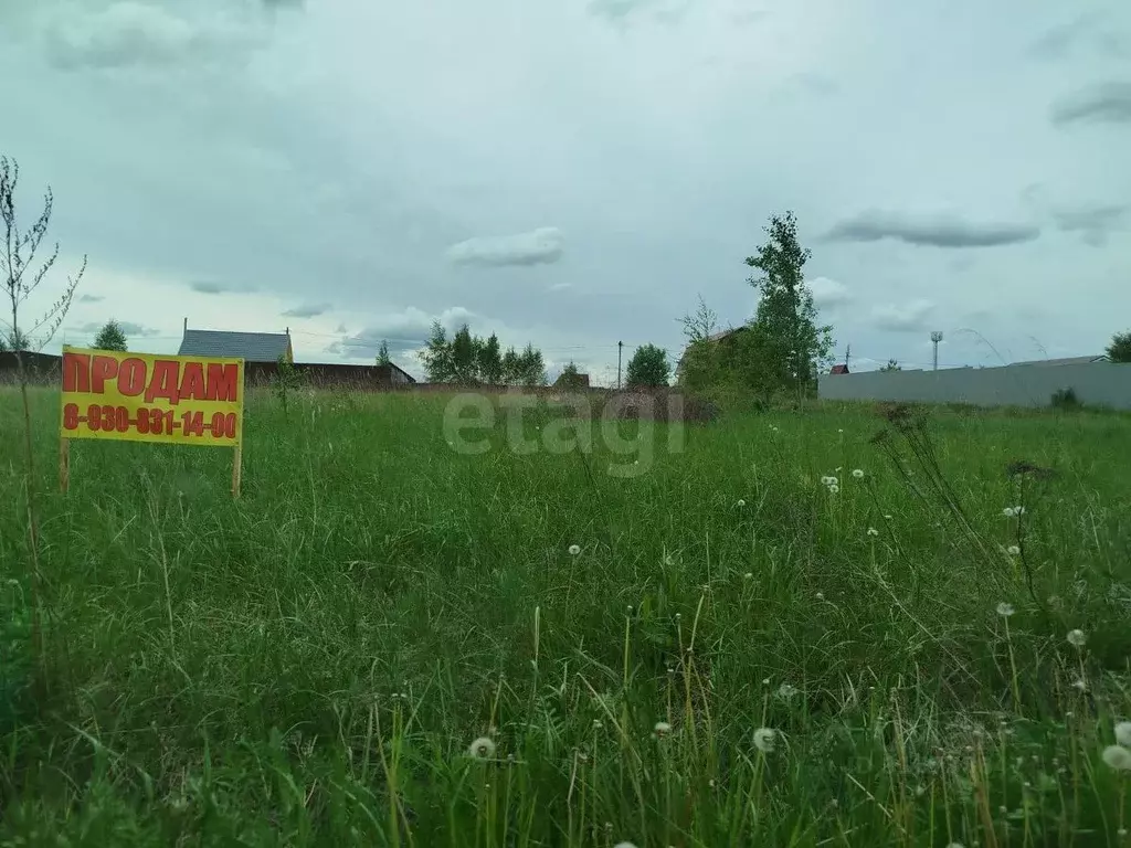 Участок в Владимирская область, Петушинское муниципальное образование, ... - Фото 1