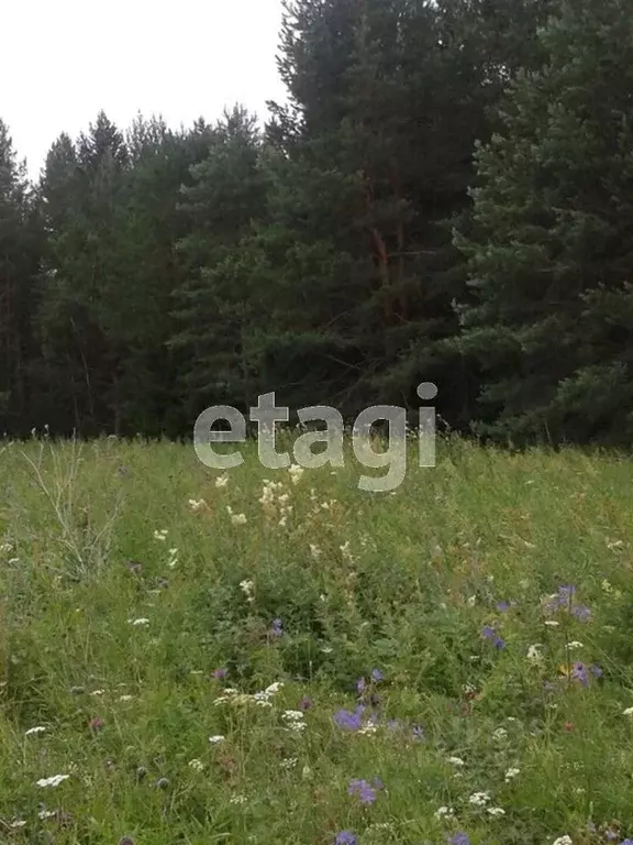 Участок в Свердловская область, Горноуральский городской округ, д. ... - Фото 0