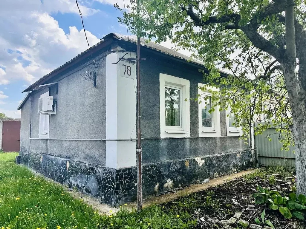 Дом в Воронежская область, Новоусманский район, с. Орлово Больничная ... - Фото 1