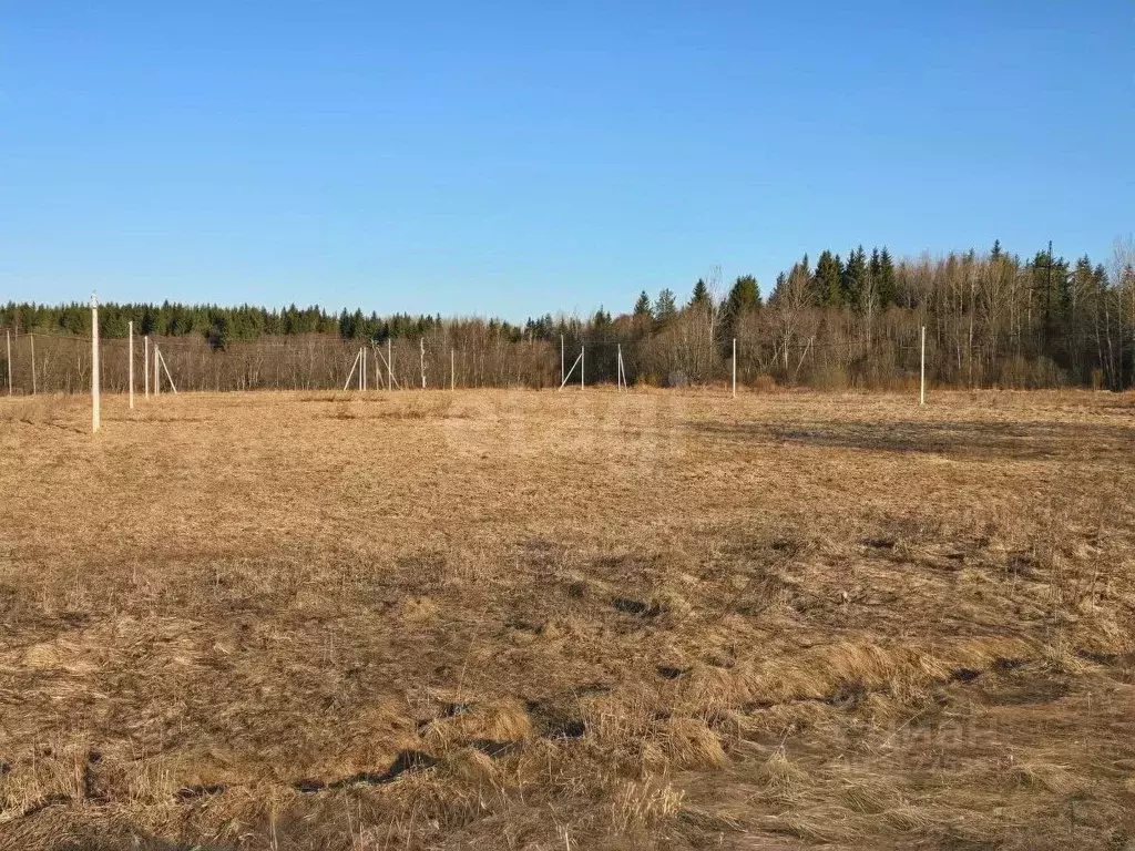 Участок в Ленинградская область, Гатчинский район, д. Мыза  (11.05 ... - Фото 0