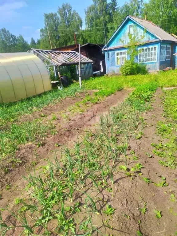 Дом в Свердловская область, Нижний Тагил Автомобилист КС, ул. 3-я (39 ... - Фото 0