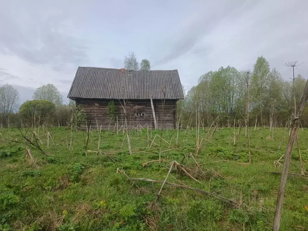 Участок в Новгородская область, Маловишерский район, Бургинское с/пос, ... - Фото 1