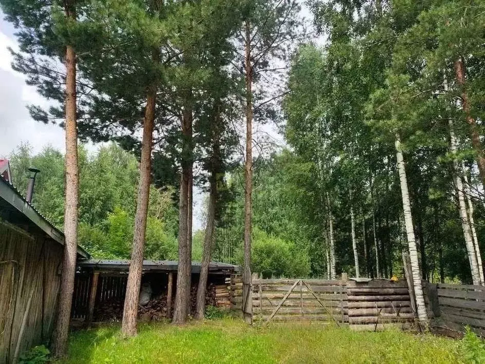 Дом в Кировская область, Оричевский муниципальный округ, с. Адышево  ... - Фото 2