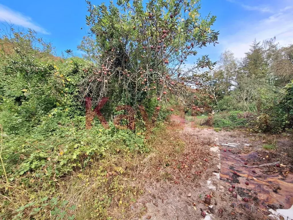 Участок в Краснодарский край, Геленджик городской округ, с. ... - Фото 2