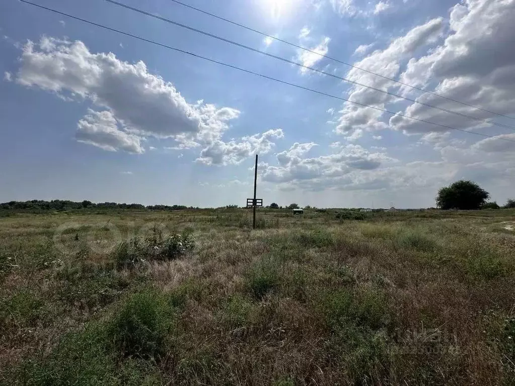 Участок в Волгоградская область, Иловлинский район, Озерское с/пос, ... - Фото 2