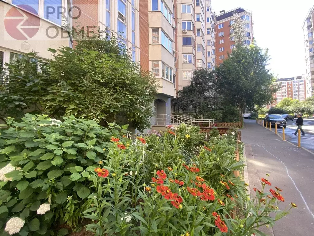 1-к кв. Москва ул. Рудневка, 43 (37.8 м) - Фото 1