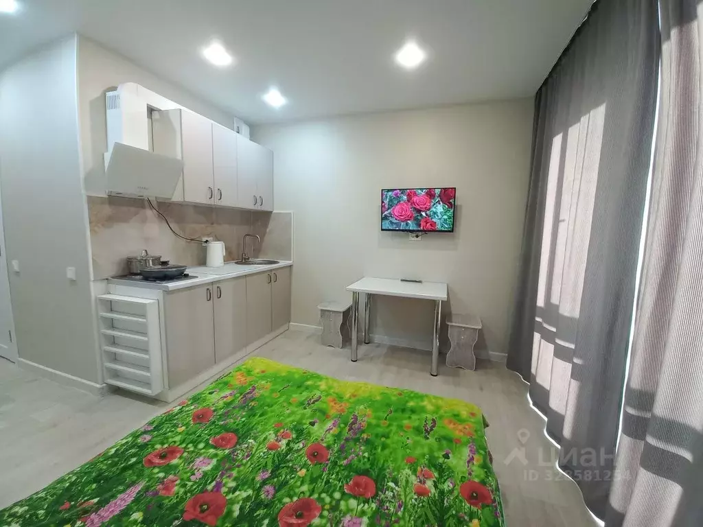 Студия Тюменская область, Тюменский муниципальный округ, д. Патрушева ... - Фото 2