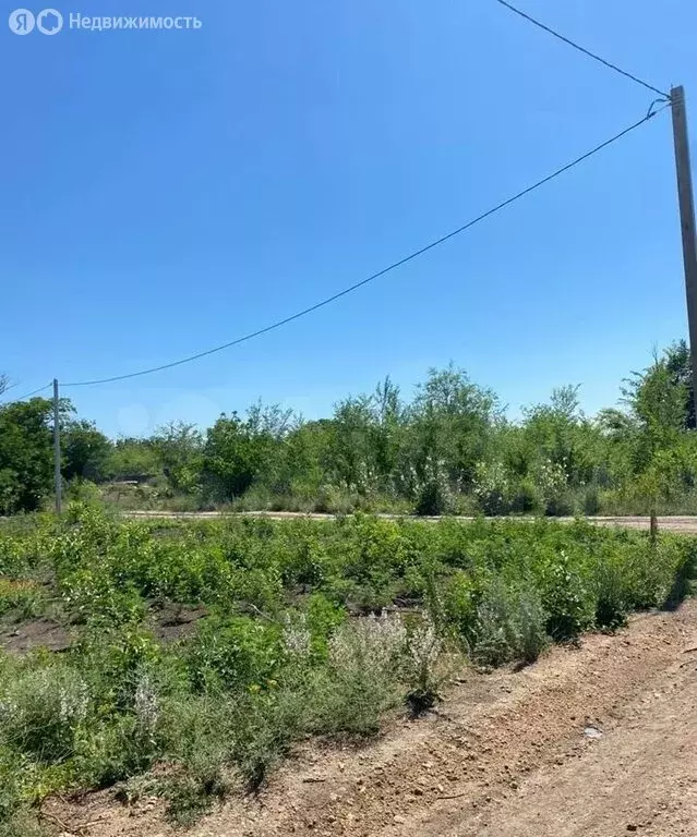 участок в новочеркасск, войсковая улица (3 м) - Фото 1