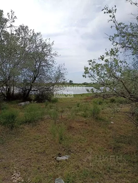 Участок в Астраханская область, Володарский район, пос. Таловинка ... - Фото 1