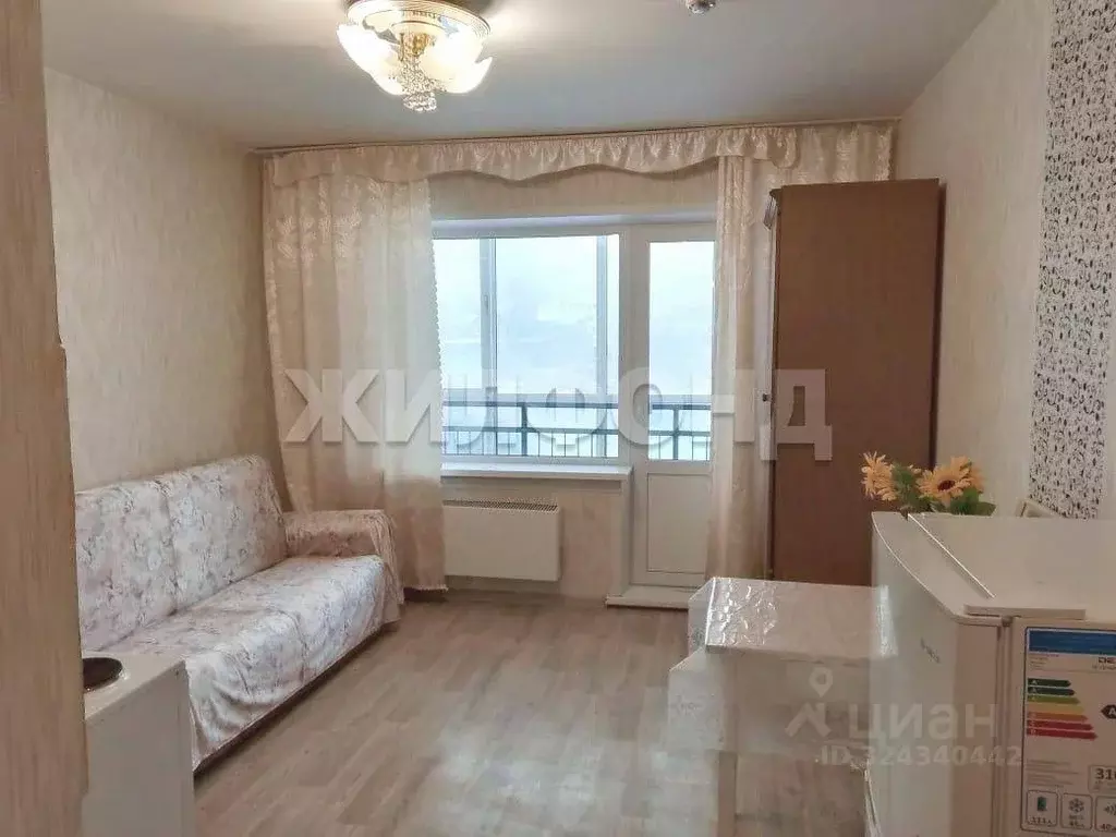 1-к кв. Новосибирская область, Новосибирск ул. Титова, 257 (18.3 м) - Фото 1