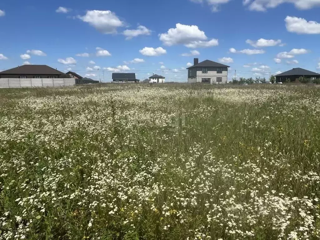 Участок в Белгородская область, Белгородский район, с. Стрелецкое 545 ... - Фото 0