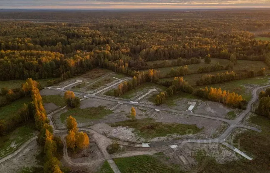 Участок в Ленинградская область, Приозерский район, Ромашкинское ... - Фото 0