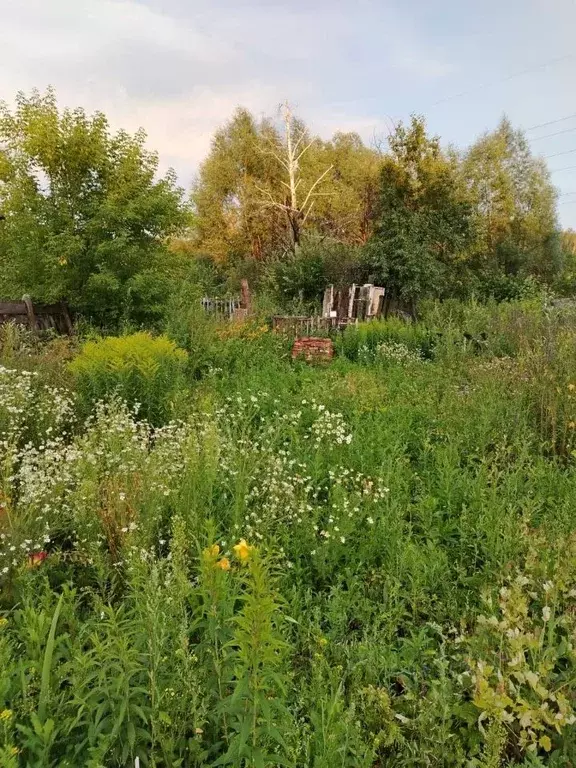 Участок в Кемеровская область, Ленинск-Кузнецкий  (6.2 сот.) - Фото 0