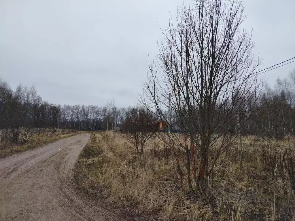 Участок в Тульская область, Тула городской округ, с. Алешня  (12.0 ... - Фото 1