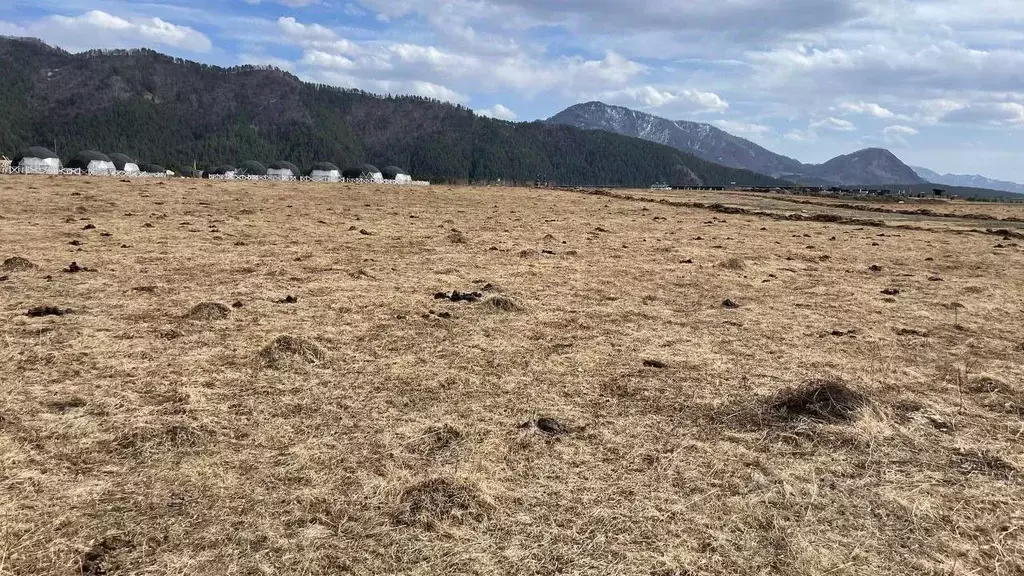 Участок в Алтай, Чемальский район, Элекмонарское с/пос, с. Элекмонар  ... - Фото 2
