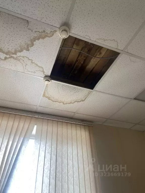 Помещение свободного назначения в Карелия, Кемь ул. Бланки, 12 (14 м) - Фото 2