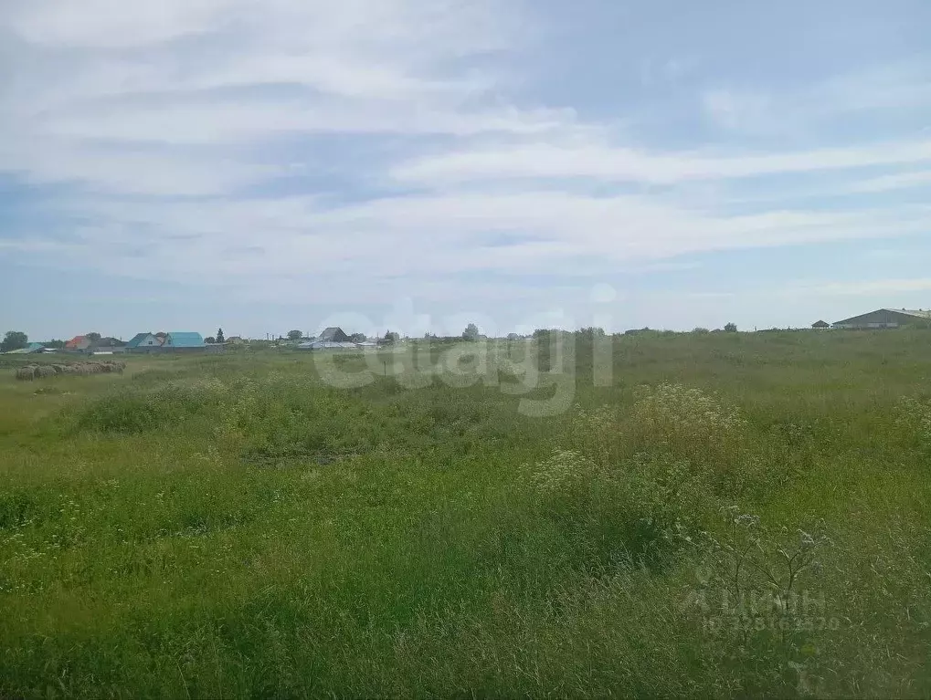 Участок в Тюменская область, Исетский муниципальный округ, с. Шорохово ... - Фото 1