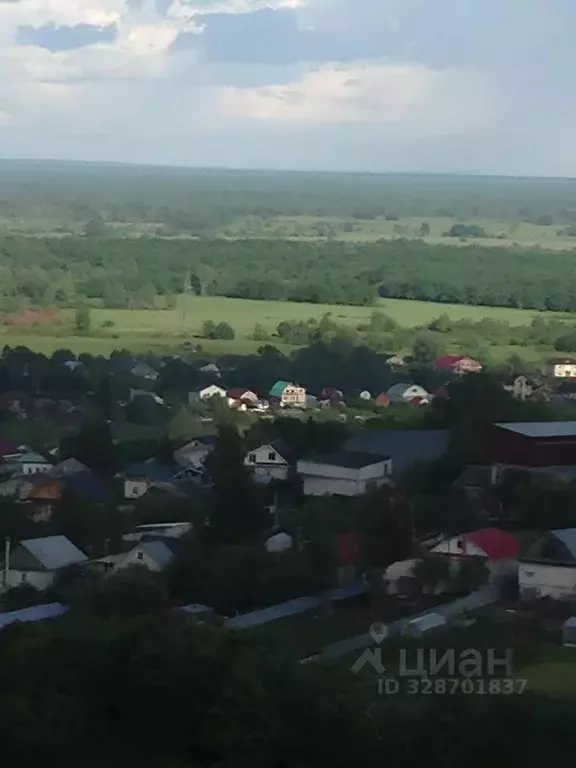Участок в Нижегородская область, Нижний Новгород д. Никульское, ул. ... - Фото 2