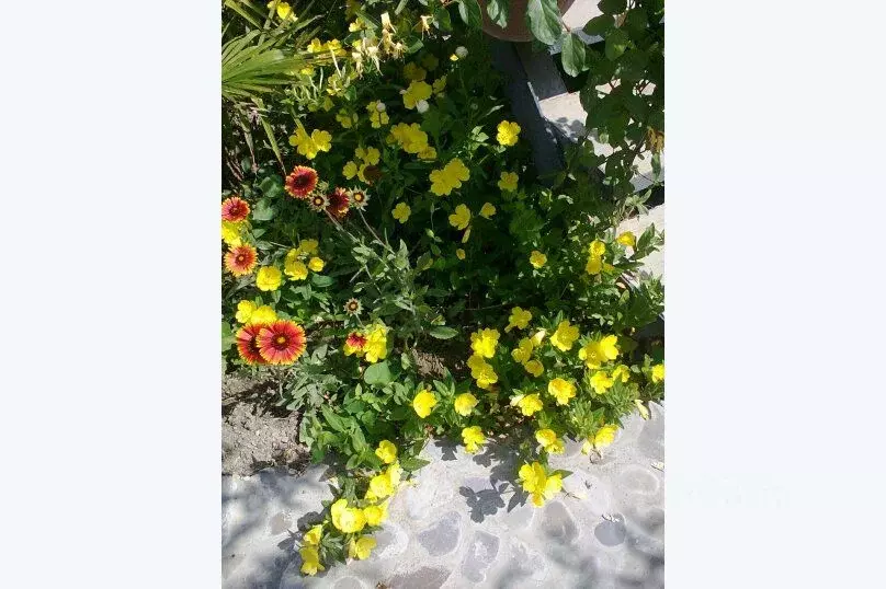 Дом в Крым, Судак городской округ, с. Морское  (80 м) - Фото 1