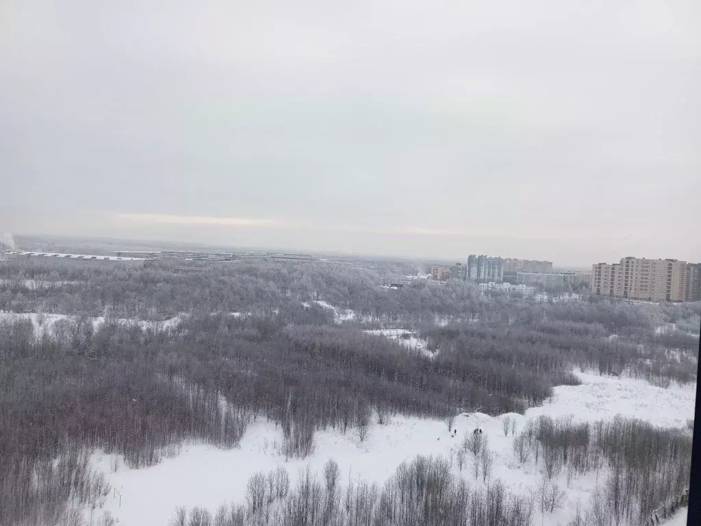 Студия Ленинградская область, Мурино Всеволожский район, ул. Шоссе в ... - Фото 2