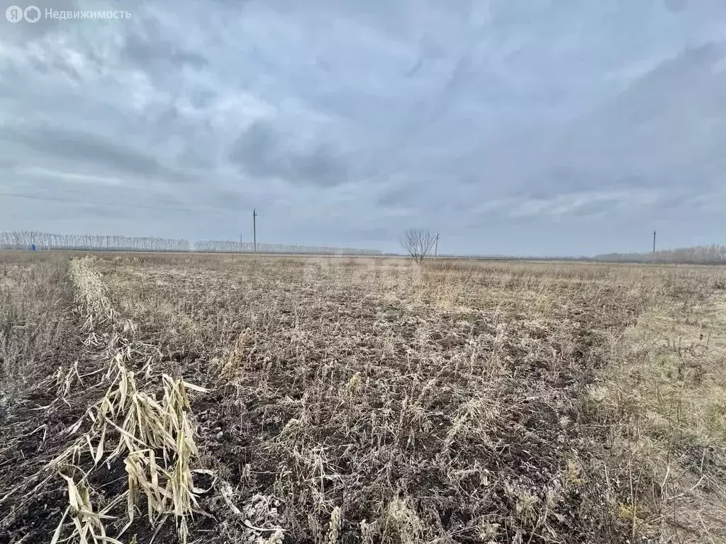 Участок в село Берёзово, Приозёрная улица (10 м) - Фото 1