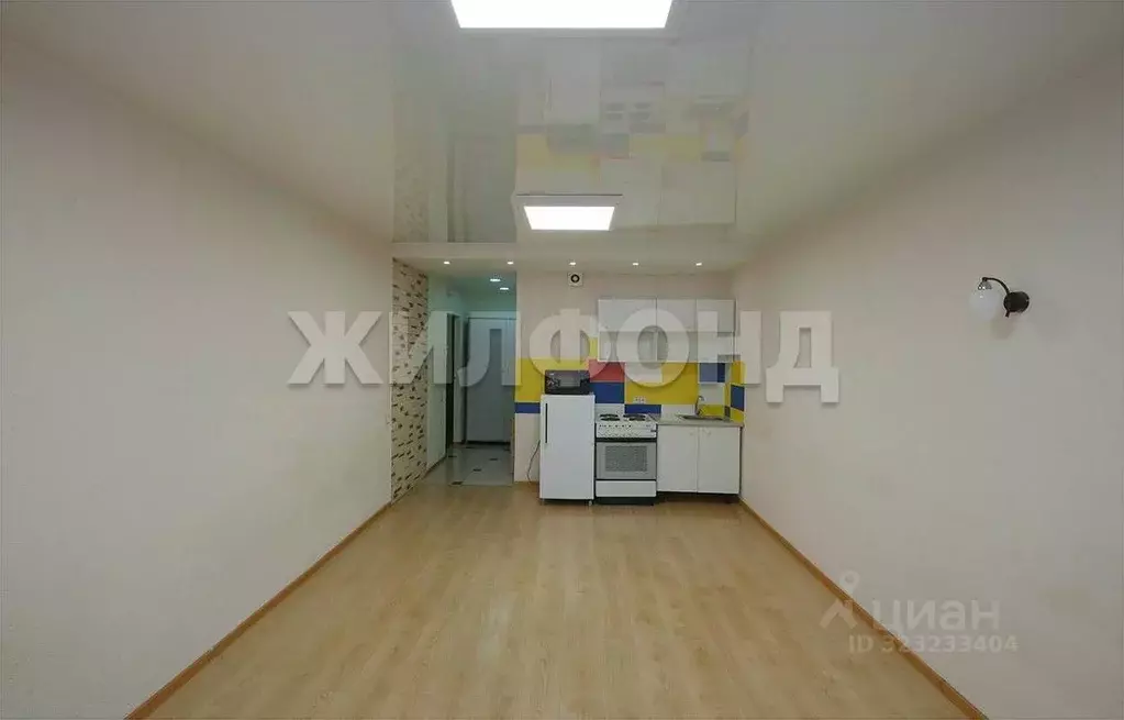 1-к кв. Новосибирская область, Новосибирск ул. Виктора Уса, 13 (27.6 ... - Фото 2