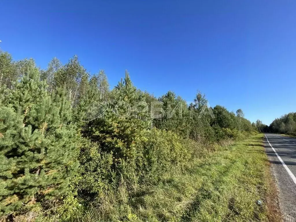 Участок в Тюменская область, Нижнетавдинский район, с. Носырево  ... - Фото 0