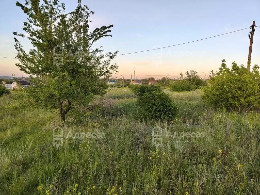 Участок в Волгоградская область, Городище рп, СНТ усадьба ул. 4-я (6.0 ... - Фото 1