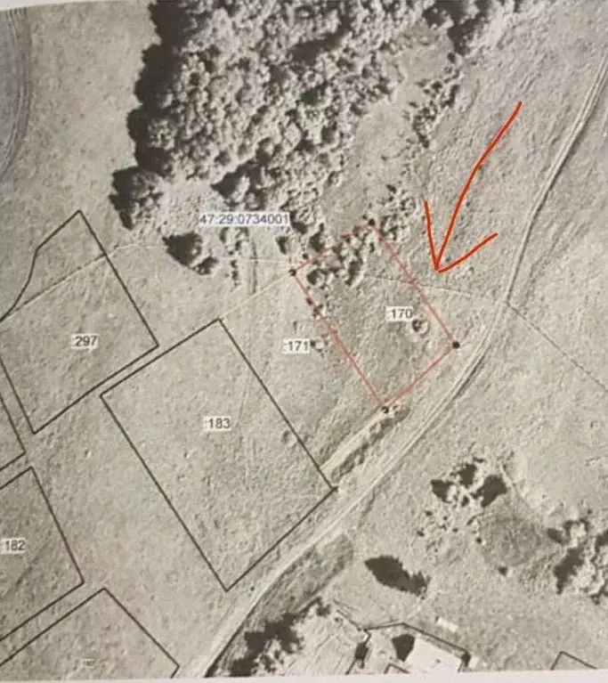 Участок в Ленинградская область, Лужский район, Ретюнское с/пос, д. ... - Фото 1