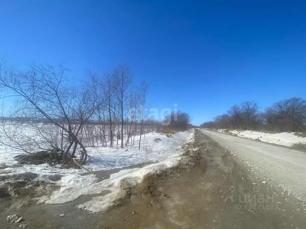 Участок в Сахалинская область, Анивский городской округ, с. ... - Фото 1