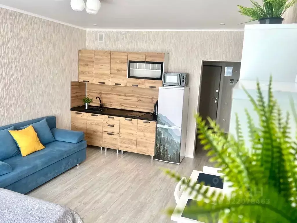 Студия Краснодарский край, Анапа ул. Толстого, 130к1 (30.0 м) - Фото 2