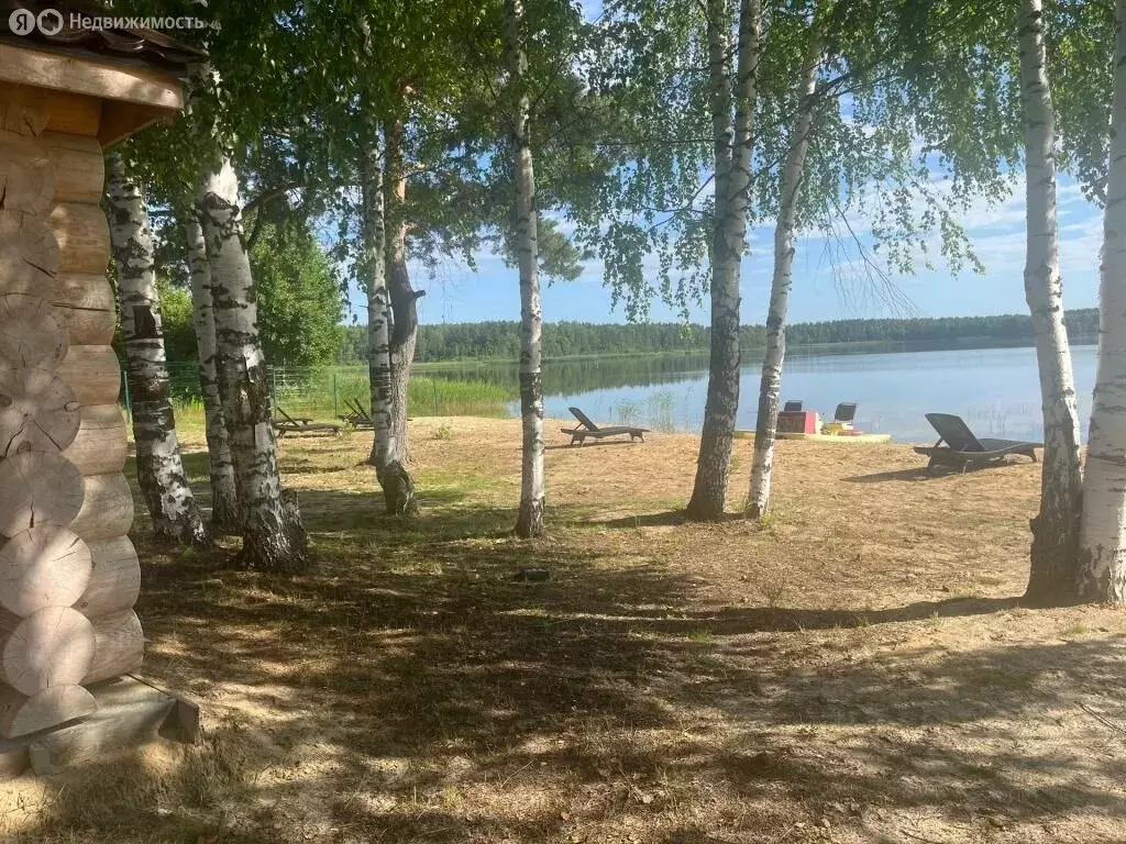 Дом в Нижегородская область, городской округ Семёновский, деревня ... - Фото 1