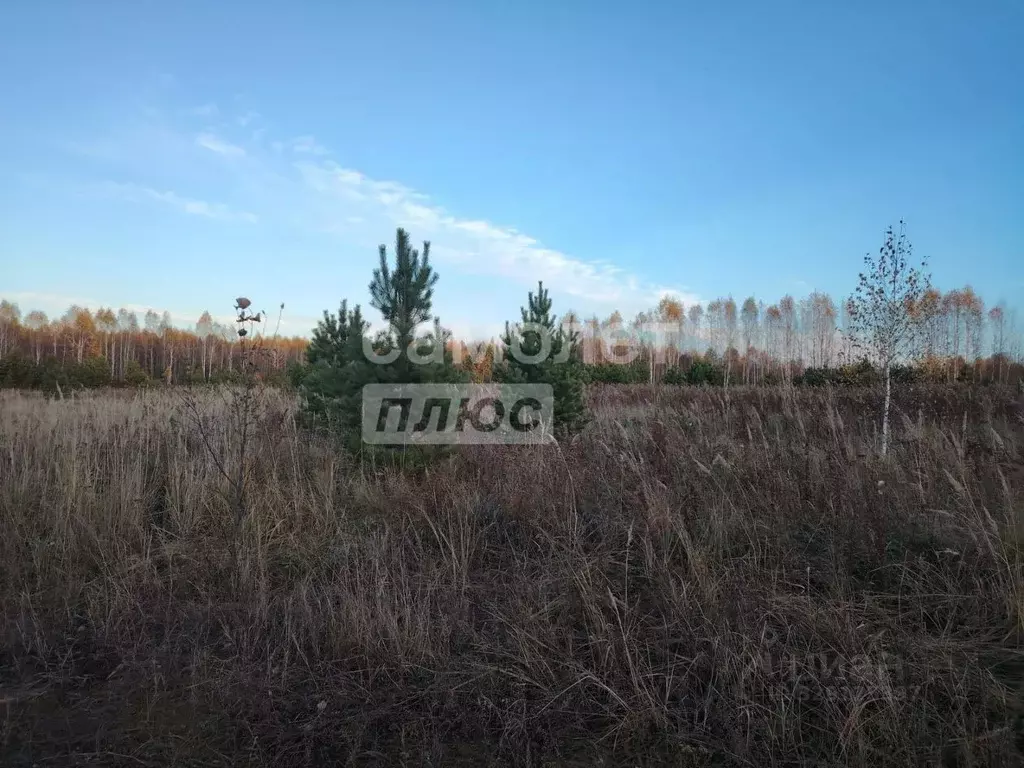 Участок в Тюменская область, Тюменский муниципальный округ, д. Чаплык ... - Фото 1