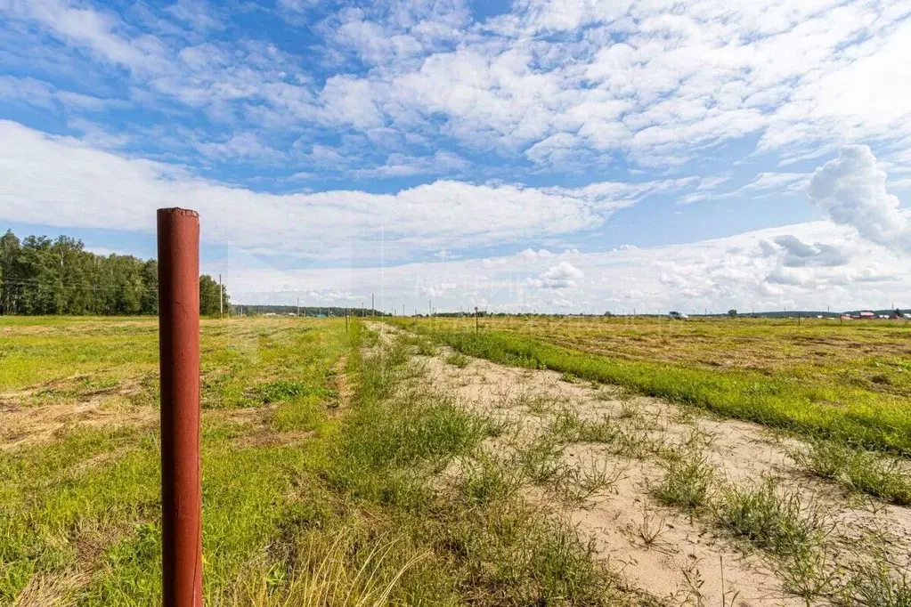 Участок в Свердловская область, Тугулымский муниципальный округ, с. ... - Фото 1