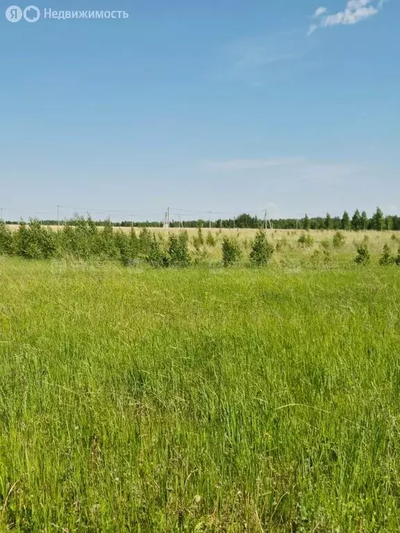 Участок в село Державино, Парковая улица (8 м) - Фото 2