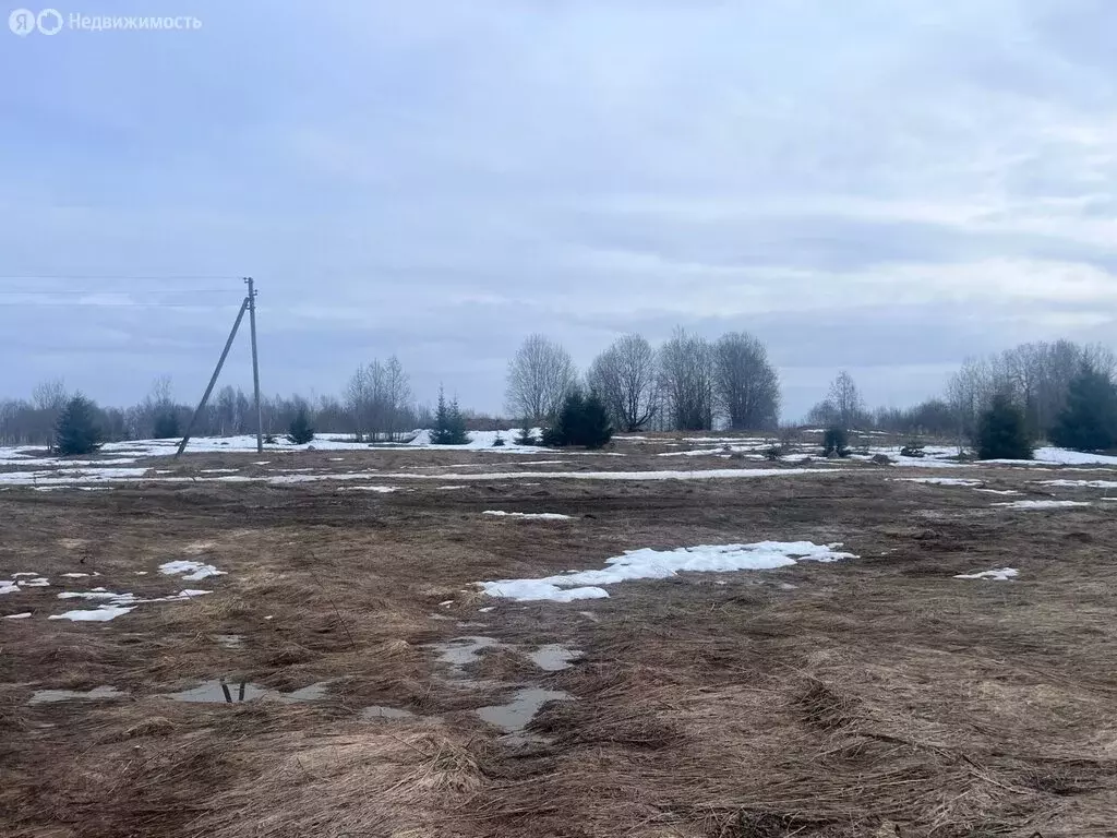 Участок в Вологодский муниципальный округ, деревня Перьево (20.08 м) - Фото 2
