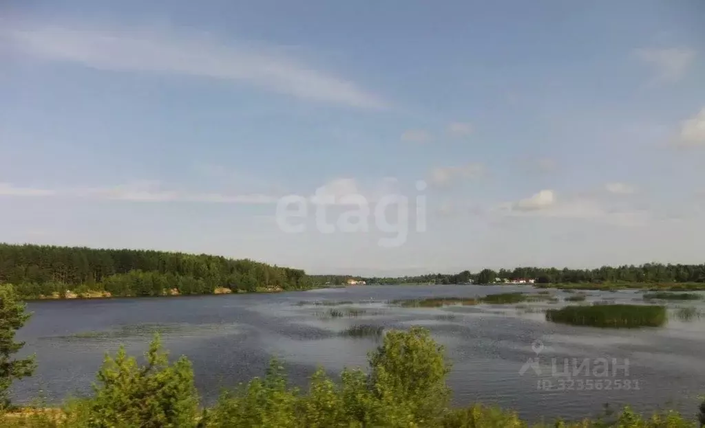 Участок в Ярославская область, Рыбинский муниципальный округ, д. ... - Фото 1